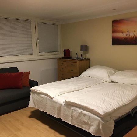 Cosy Flat In The Quiet Area With Own Garden, Free Parking And Direct Public Transport Link To The Centre Viena Exterior foto