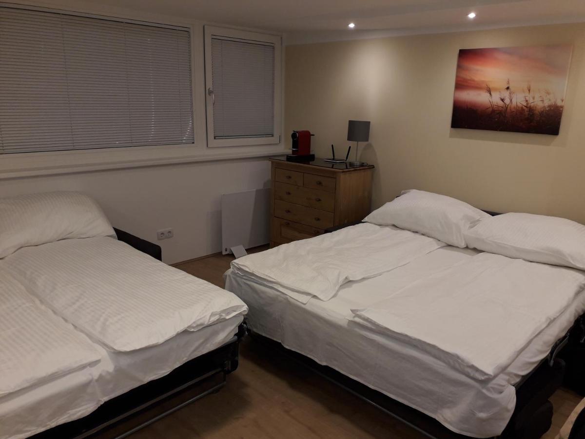 Cosy Flat In The Quiet Area With Own Garden, Free Parking And Direct Public Transport Link To The Centre Viena Exterior foto